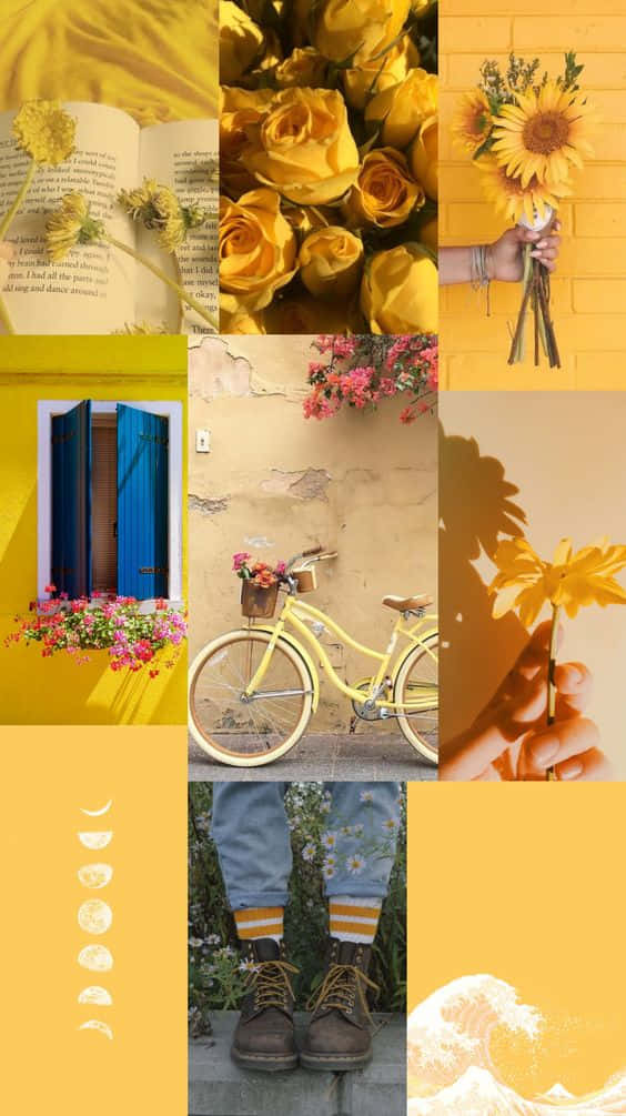 yellow aesthetic collage, sunflowers, roses, SD Phone Wallpaper