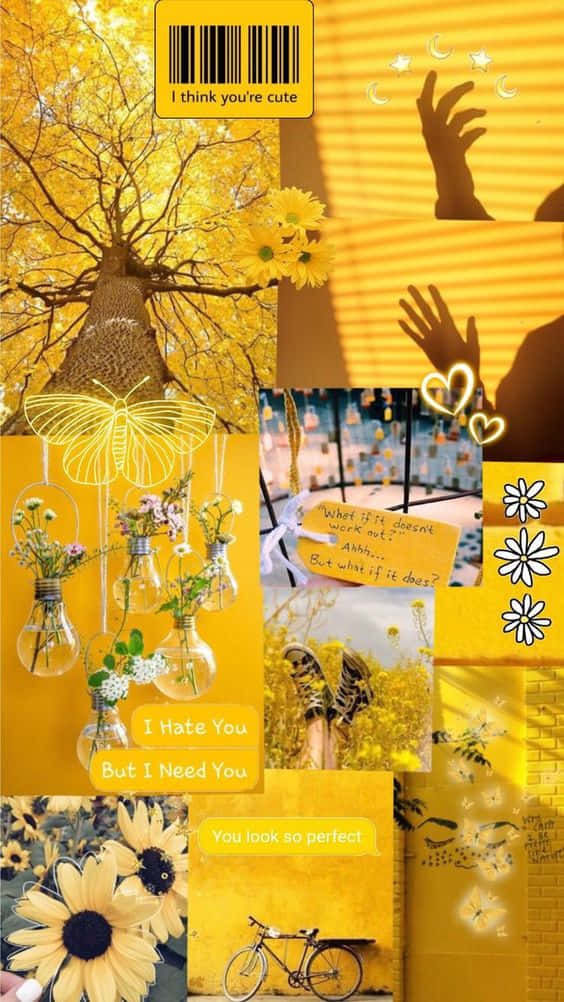 yellow flowers, butterflies, sunflowers, SD Phone Wallpaper