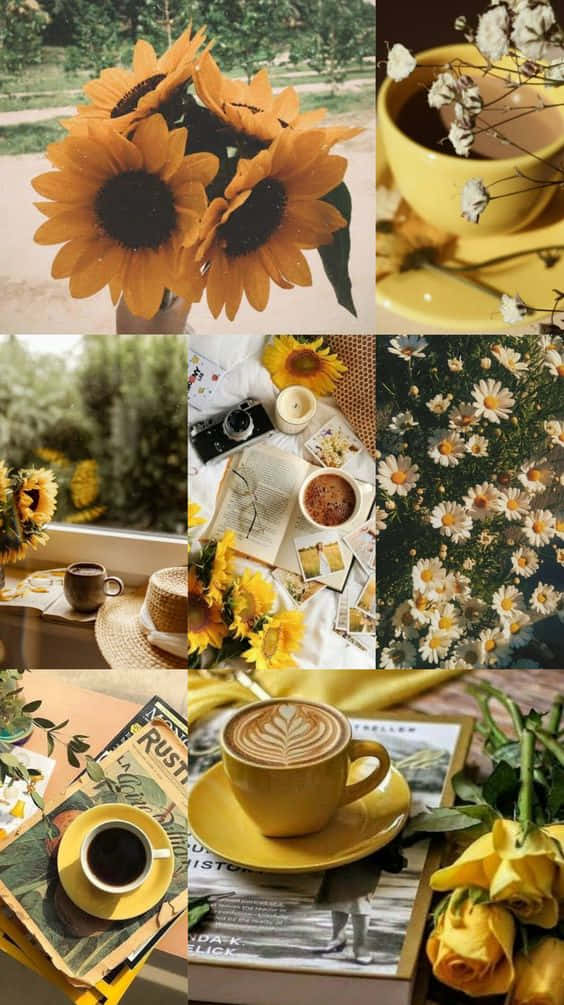 sunflowers, daisies, yellow mugs, SD Phone Wallpaper