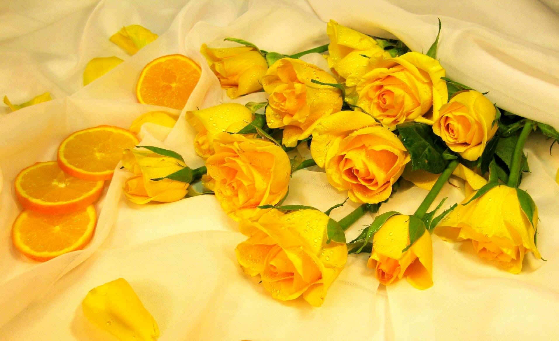yellow aesthetic flower desktop wallpaper, vibrant yellow roses, orange slices, HD Desktop Wallpaper