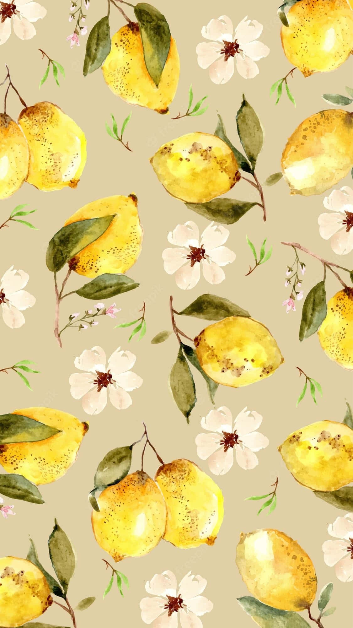 yellow aesthetic phone, lemons, white flowers, Full HD Phone Wallpaper