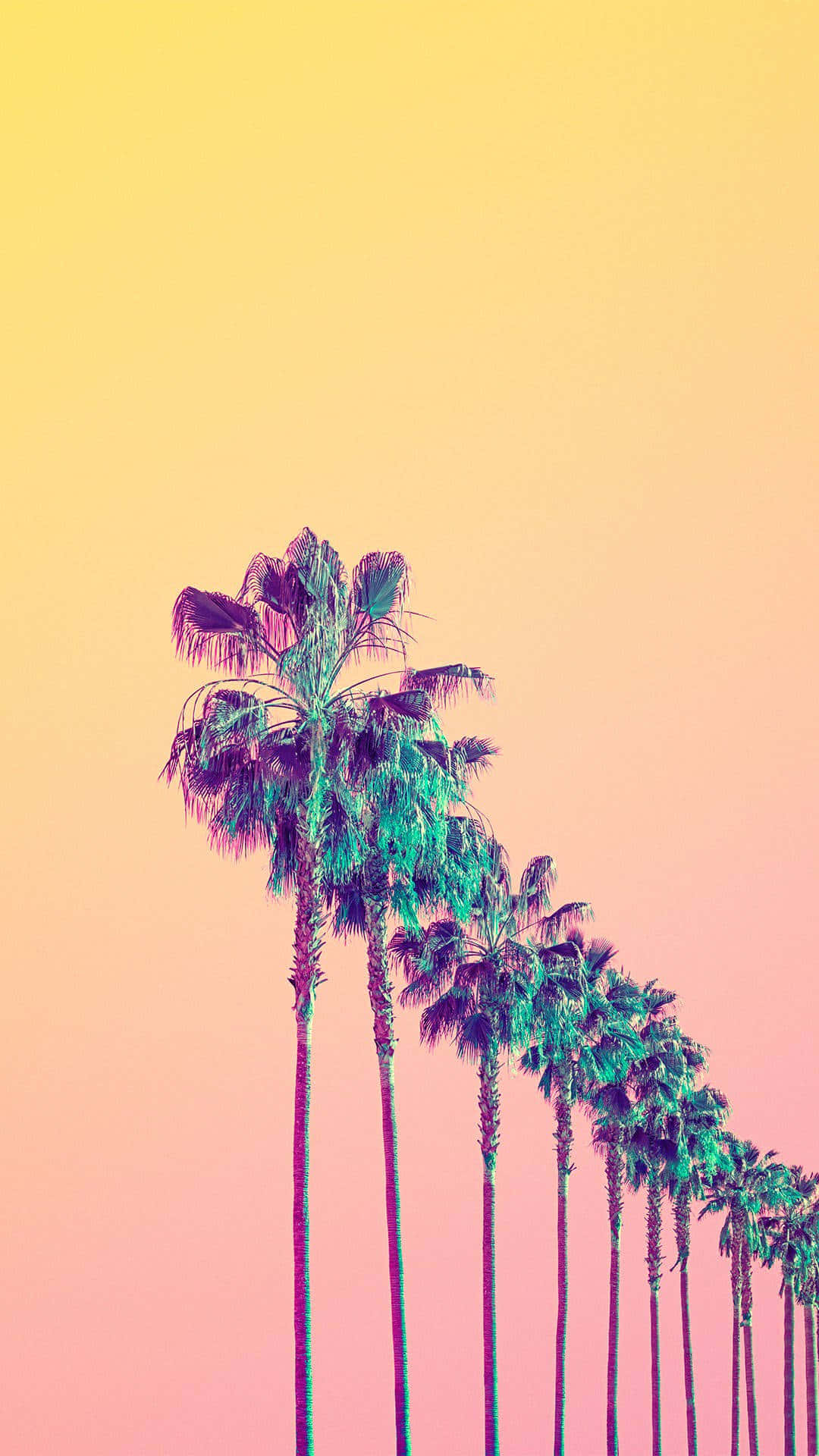 Yellow Aesthetic Phone, palm trees, teal fronds, Full HD Phone Wallpaper