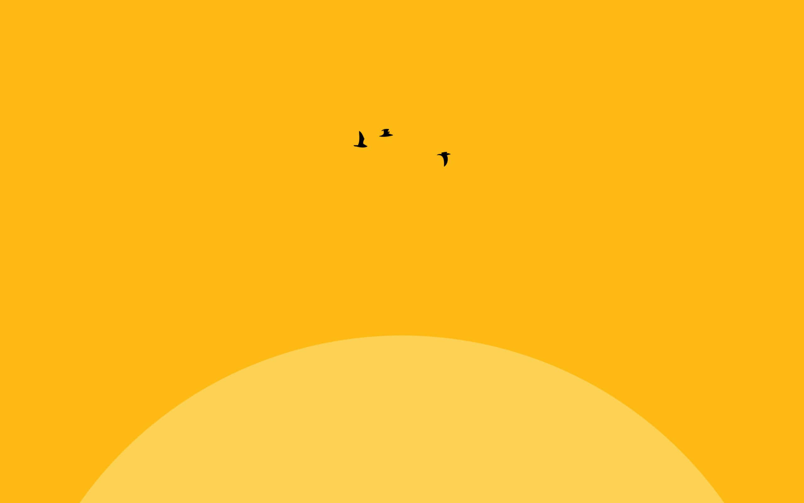 yellow aesthetic phone, vibrant orange sky, pale yellow horizon curve, 2K Desktop Wallpaper