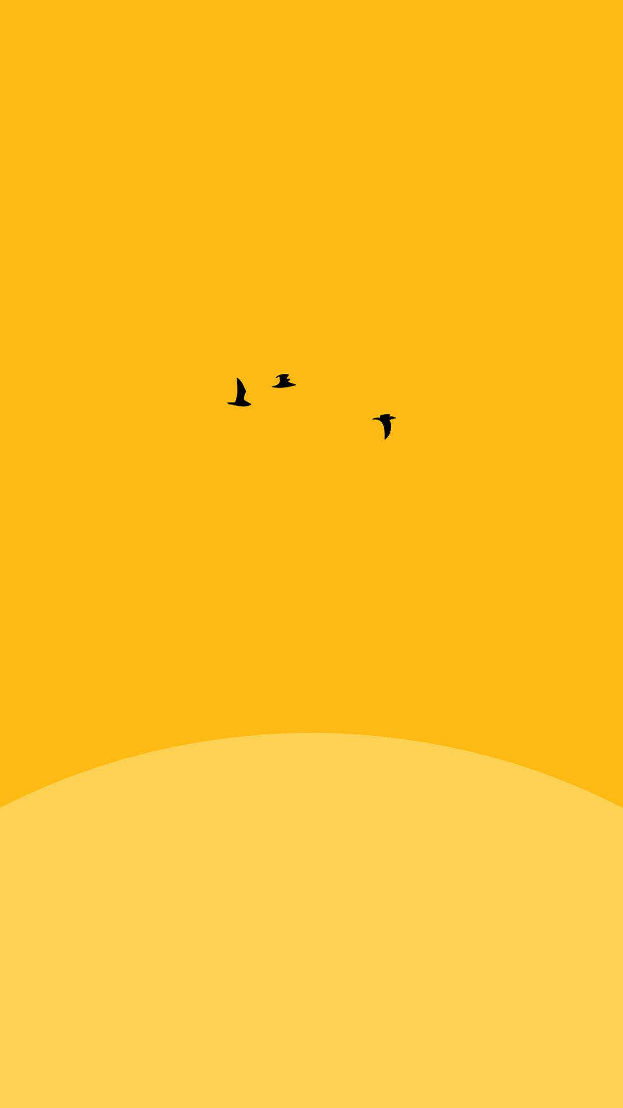 Yellow Aesthetic, flying birds, gradient yellow sky, Full HD Phone Wallpaper