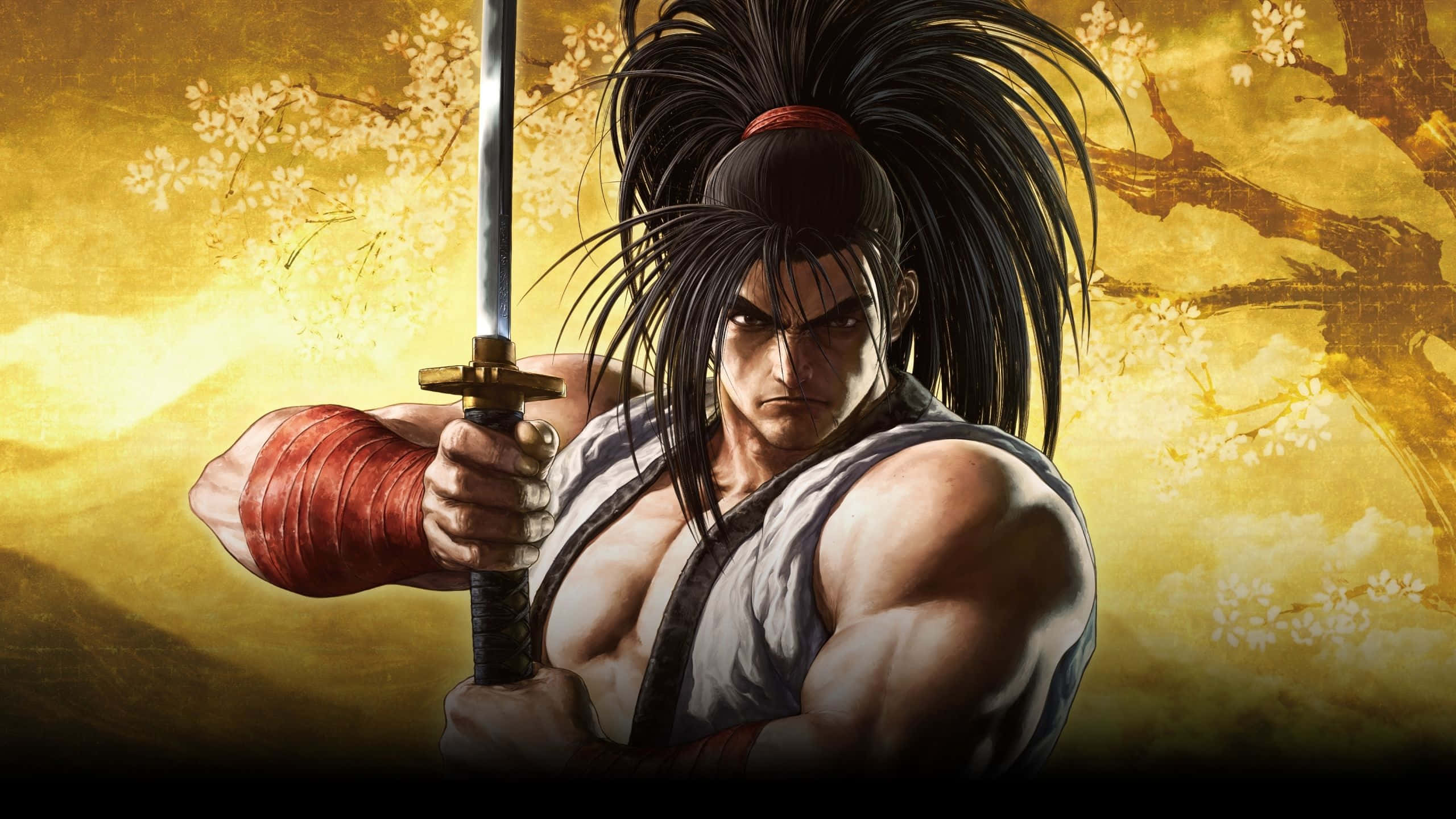 yellow anime, muscular samurai, high ponytail, 2K Desktop Wallpaper