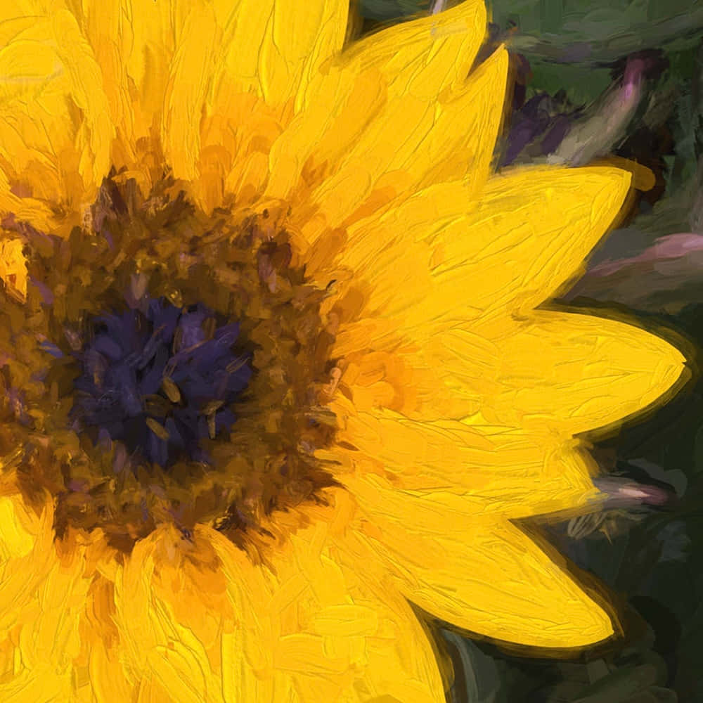 sunflower, bold brushstrokes, deep purple center, SD Desktop Wallpaper