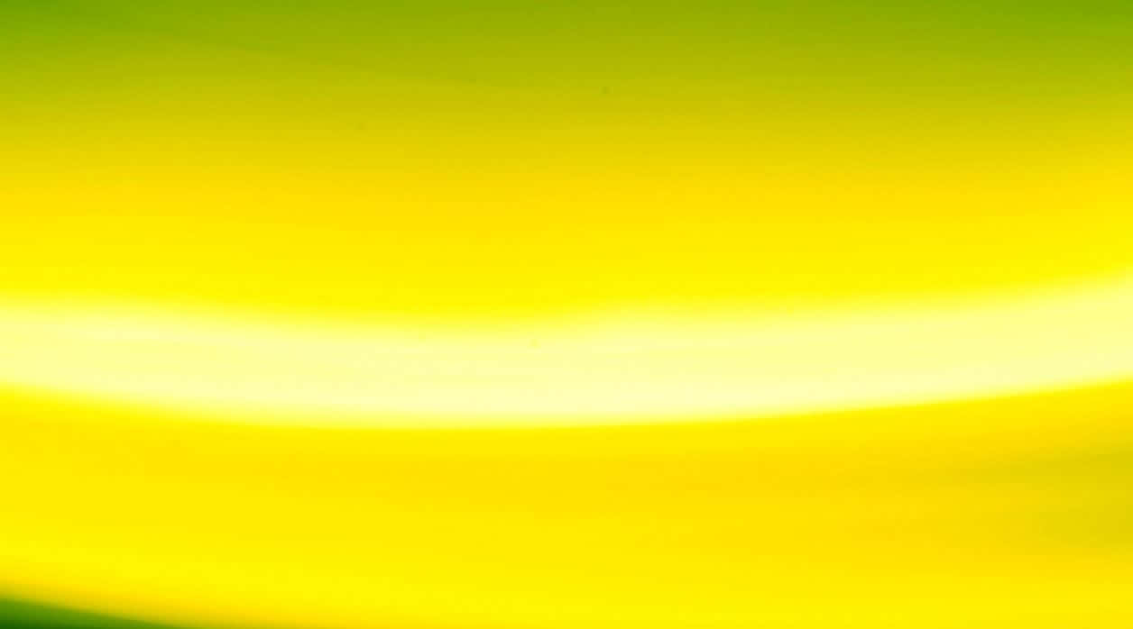 yellow abstract, vibrant yellow, green hues, SD Desktop Wallpaper