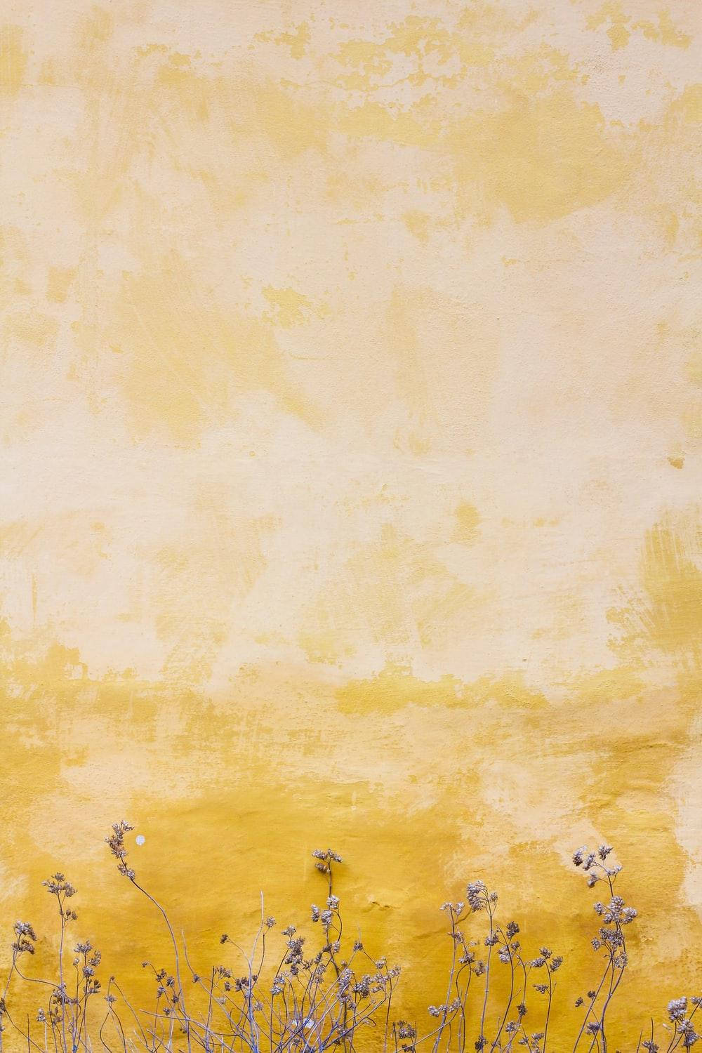yellow, vintage aesthetic, textured yellow wall, HD Phone Wallpaper