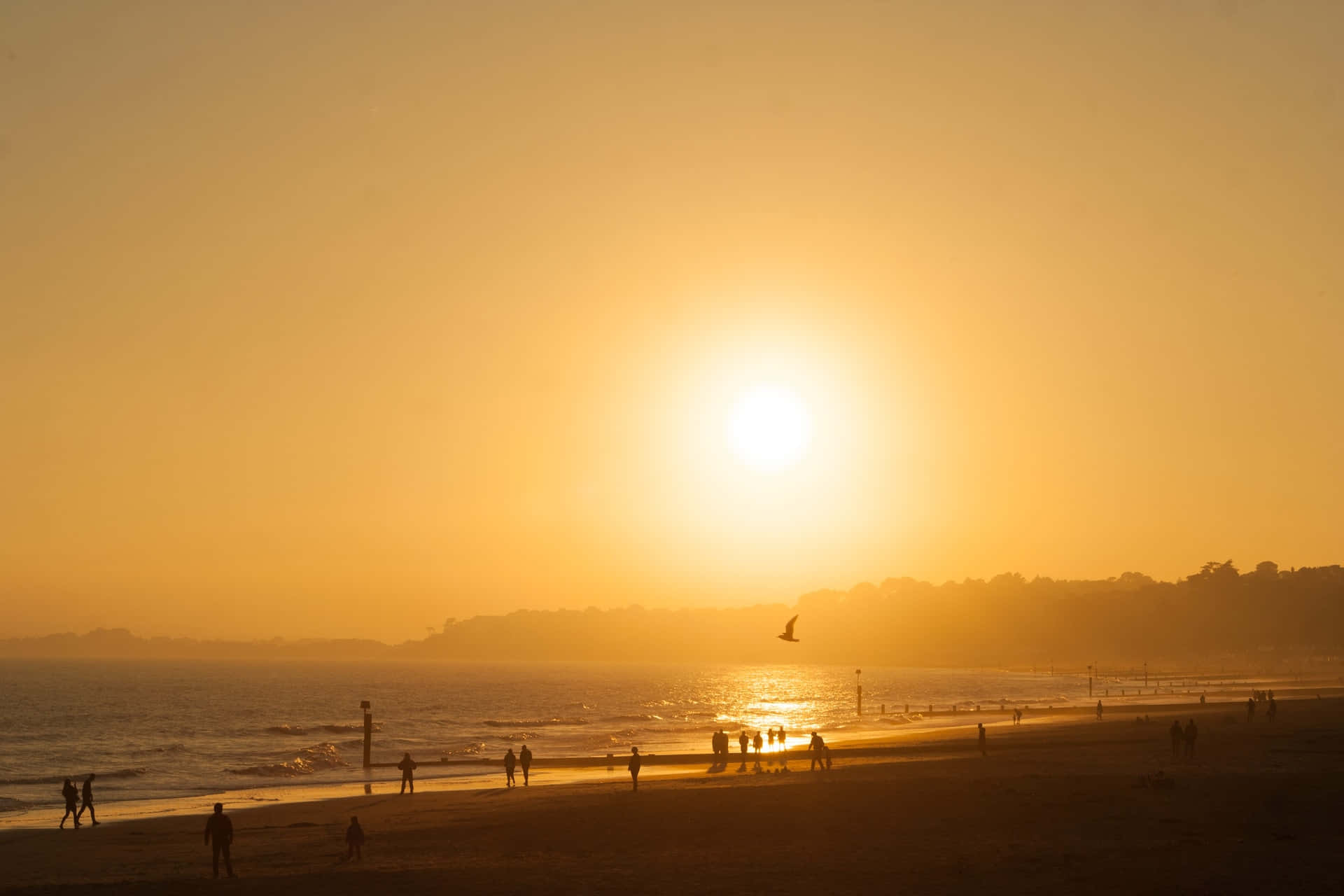 Yellow Beach, sunset, golden sunset, Full HD Desktop Wallpaper