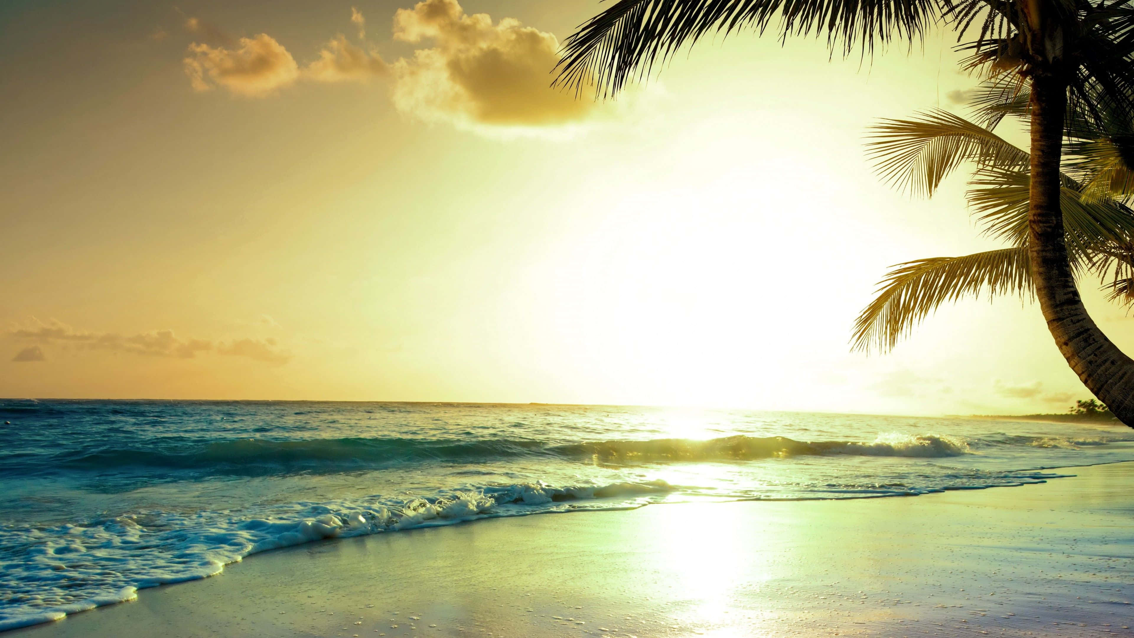 Yellow Beach, golden sunset, turquoise waves, 4K Desktop Wallpaper