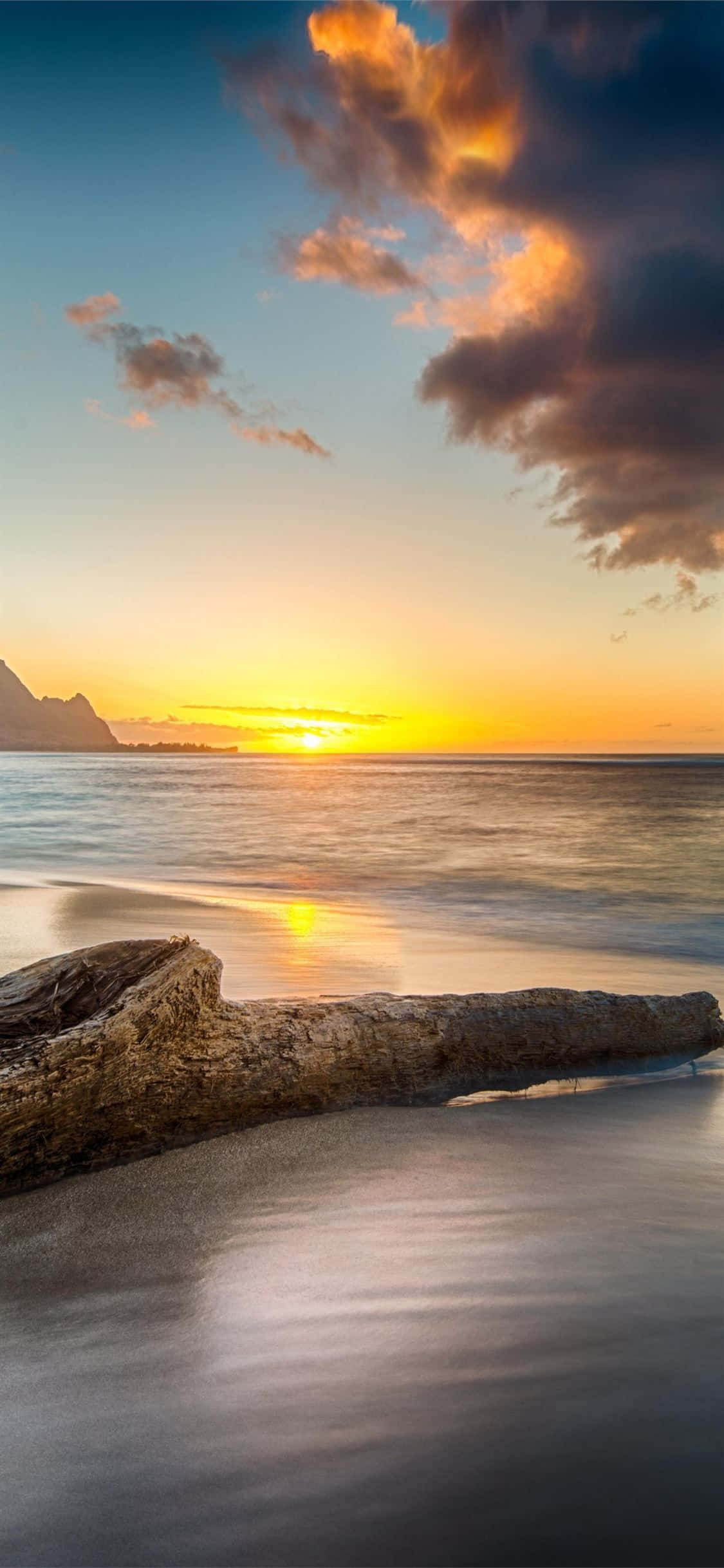 Yellow Beach, sunset, golden light, Full HD Phone Wallpaper
