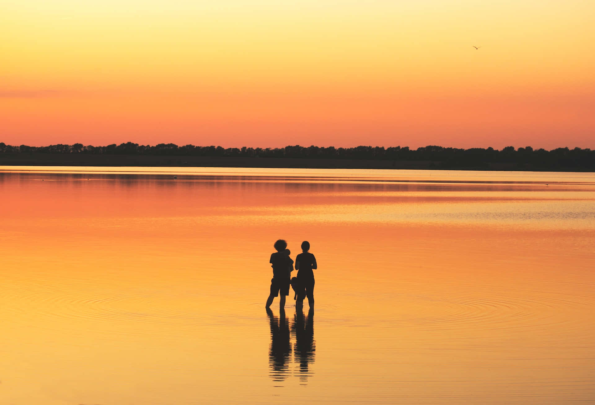Yellow Beach, sunset, calm water, Full HD Desktop Wallpaper