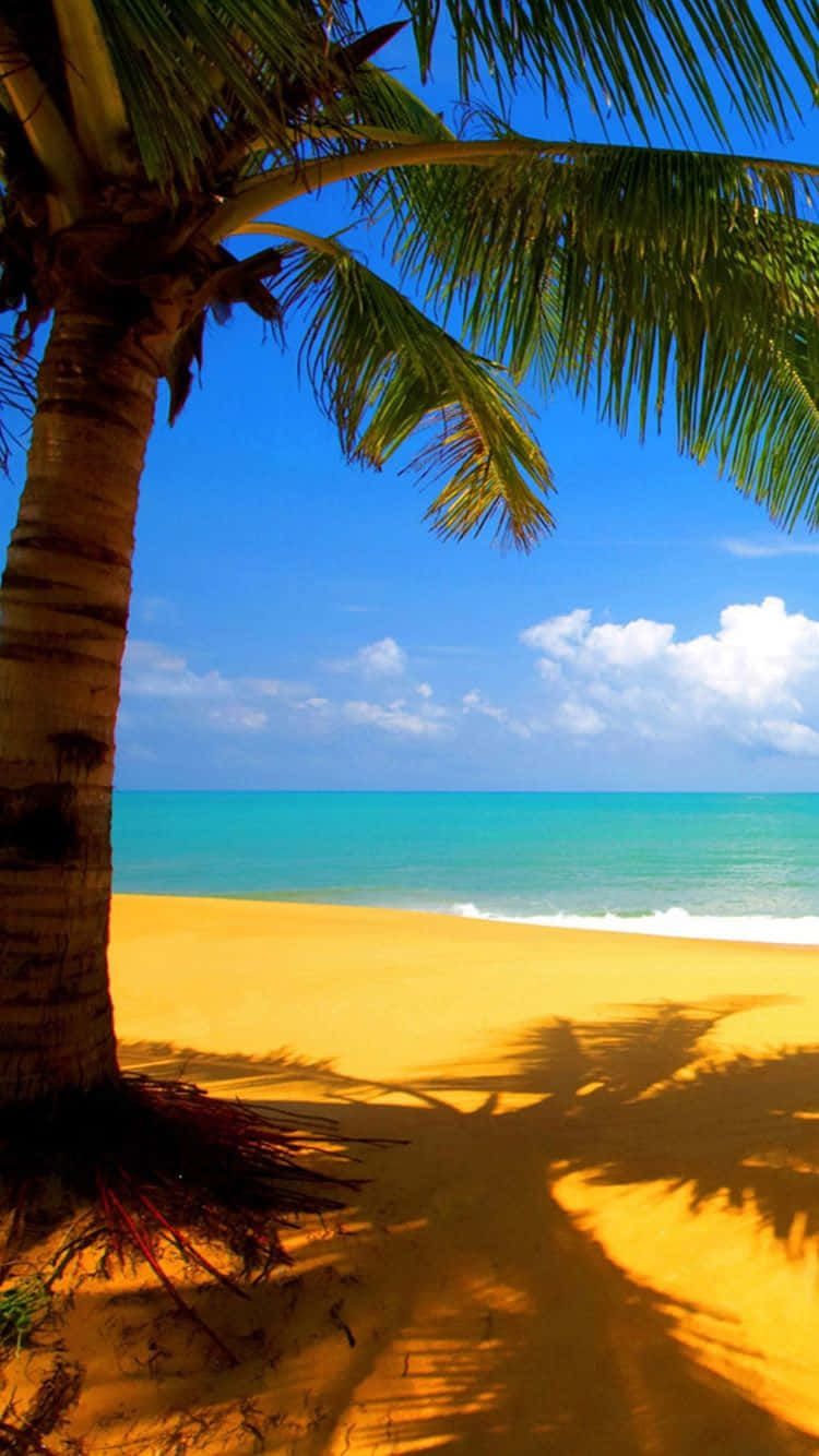 Yellow Beach, golden sand, palm tree, HD Phone Wallpaper
