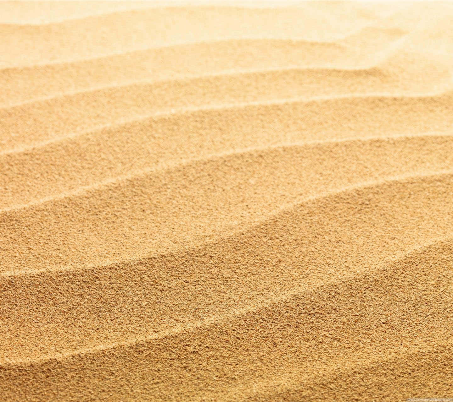 Yellow Beach, golden sand, sand dunes, HD Desktop Wallpaper