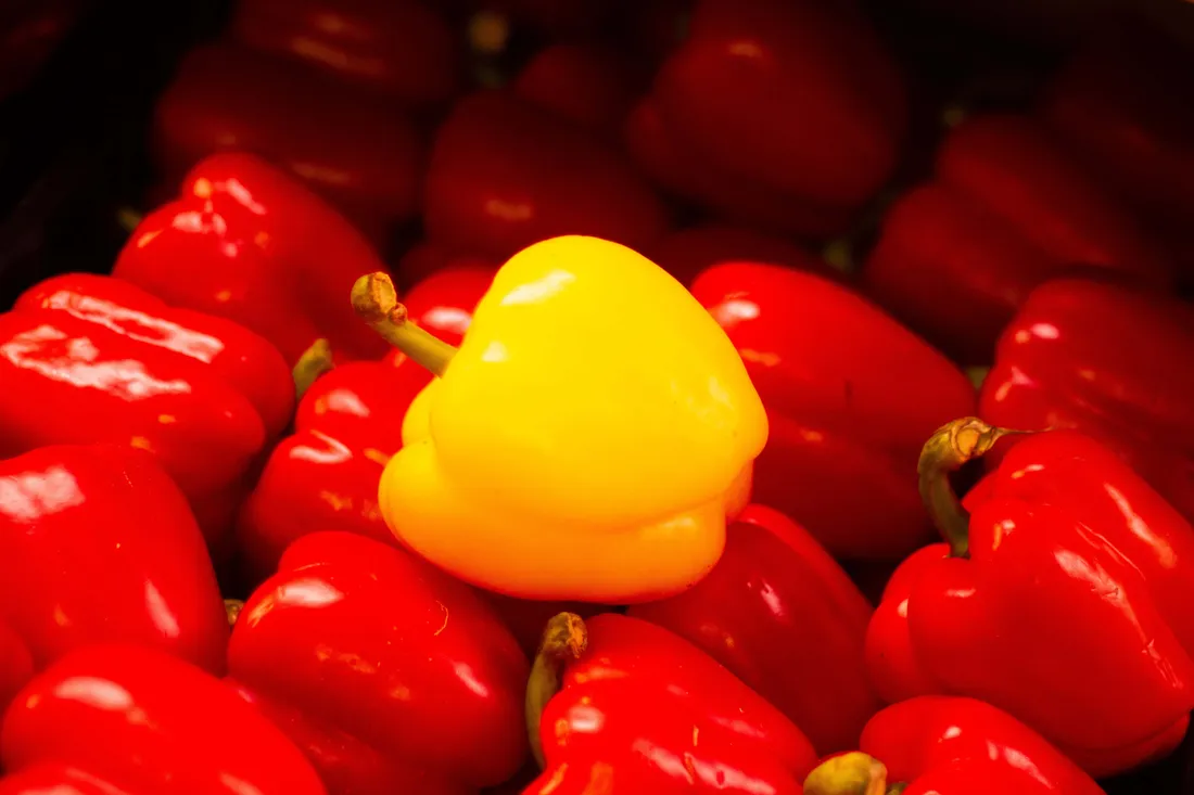 Yellow Bell Pepper