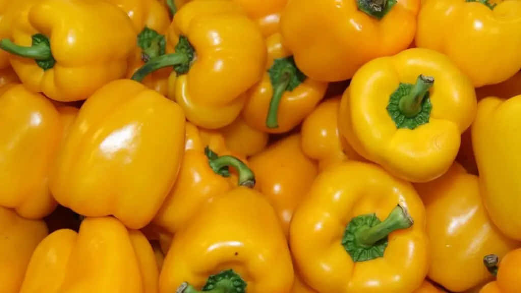 yellow bell pepper, glossy, green stems, SD Desktop Wallpaper