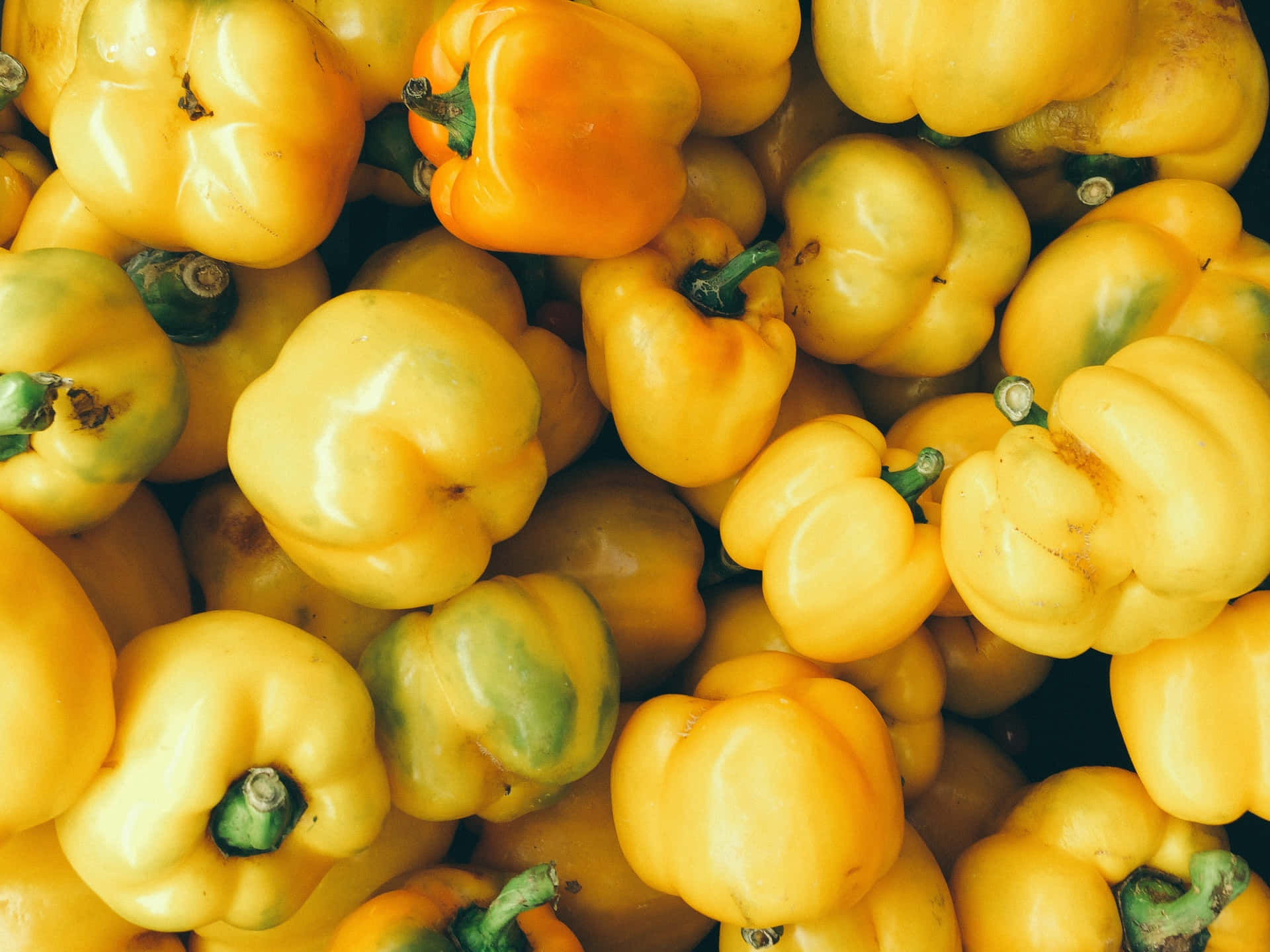 yellow bell pepper, glossy skin, green stems, Full HD Desktop Wallpaper