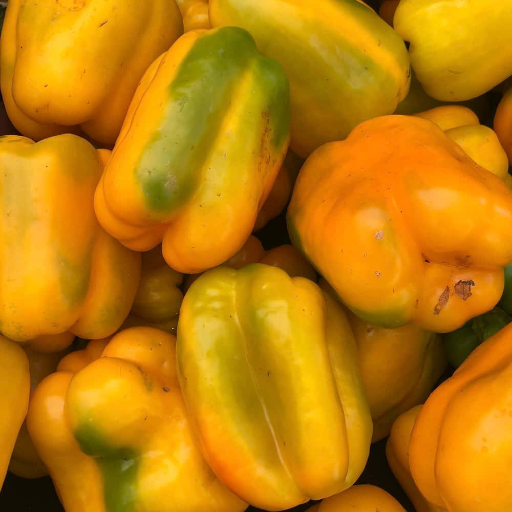 Yellow Bell Pepper, vibrant yellow, green bell peppers, SD Desktop Wallpaper
