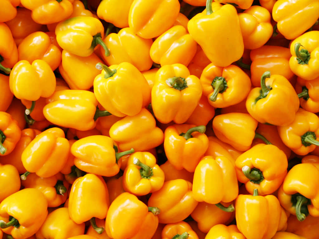 yellow bell pepper, glossy, green stems, SD Desktop Wallpaper