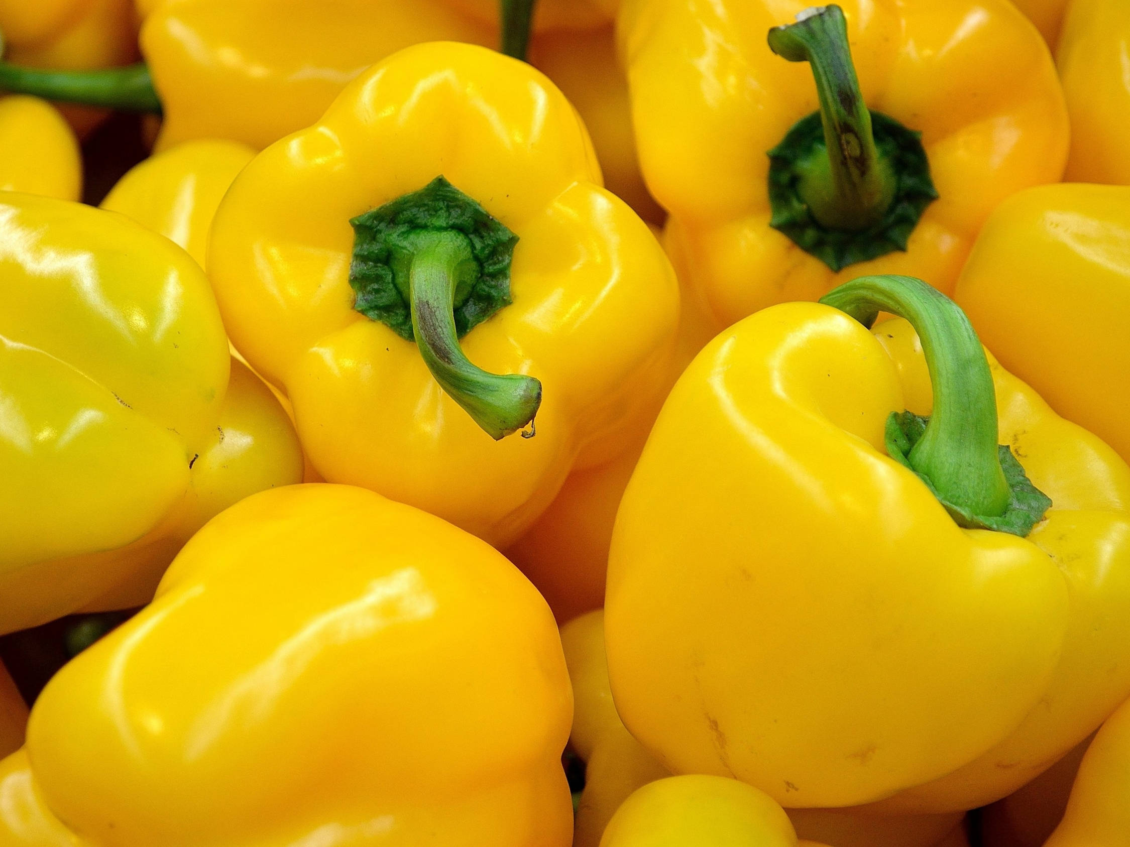Yellow Bell Pepper, glossy skin, green stems, Full HD Desktop Wallpaper
