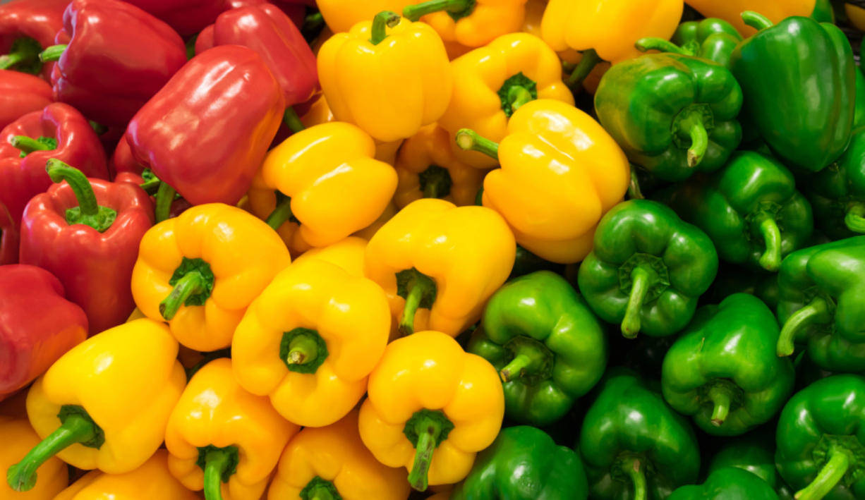 red bell pepper, yellow bell pepper, green bell pepper, SD Desktop Wallpaper