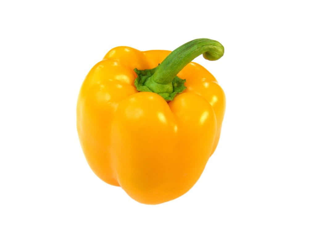 yellow bell pepper, curved green stem, pure white background, SD Desktop Wallpaper