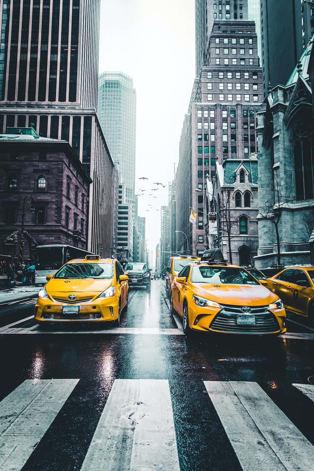 Yellow Cab, city streets, rain-slicked urban canyon, HD Phone Wallpaper