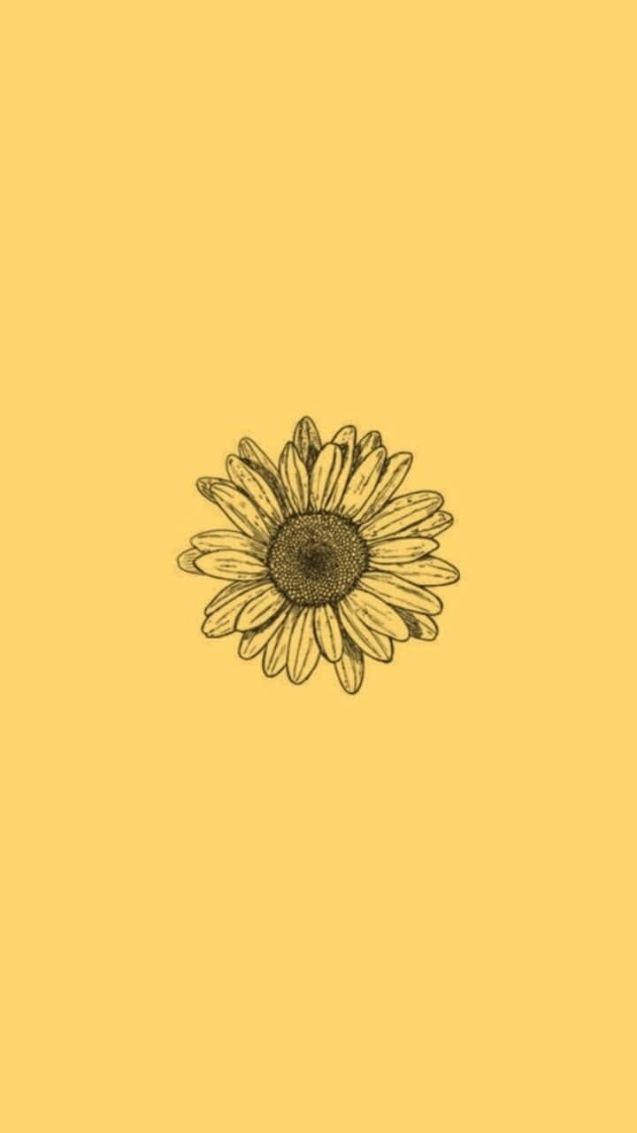sunflower, yellow background, minimalist line-art, HD Phone Wallpaper