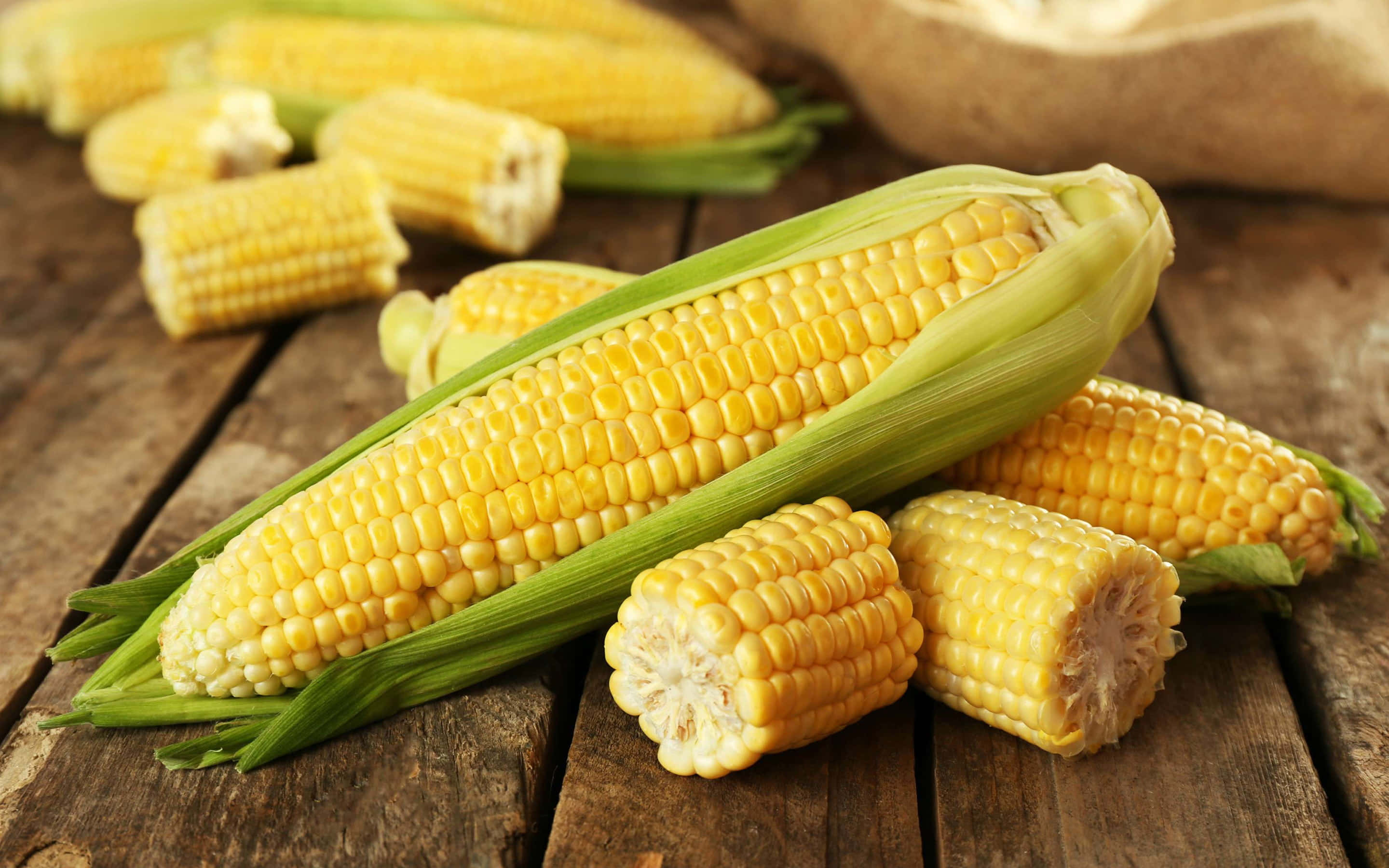 yellow corn, yellow corn on the cob, green husks, 2K Desktop Wallpaper