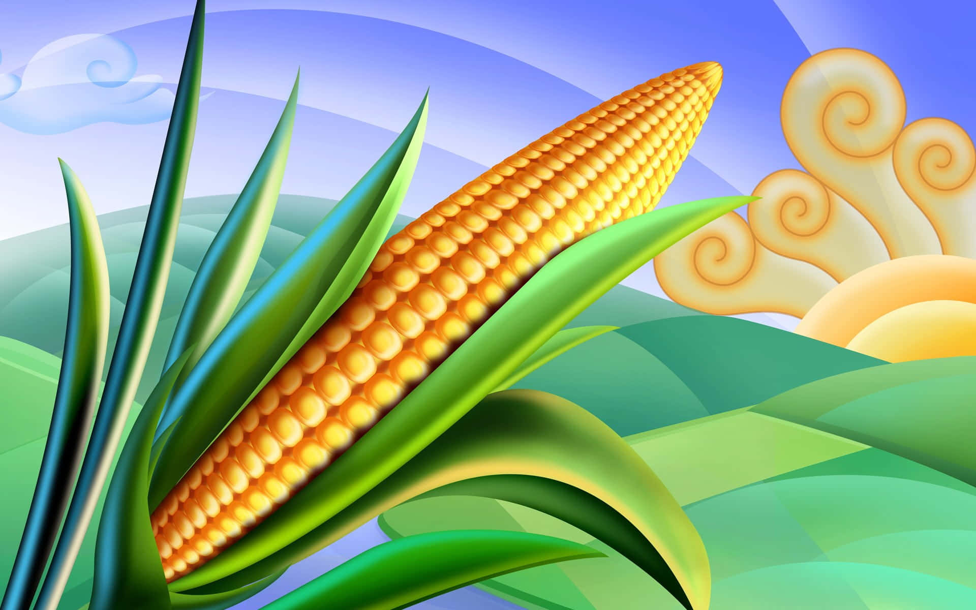 Yellow Corn, golden corn cob, lush green leaves, Full HD Desktop Wallpaper