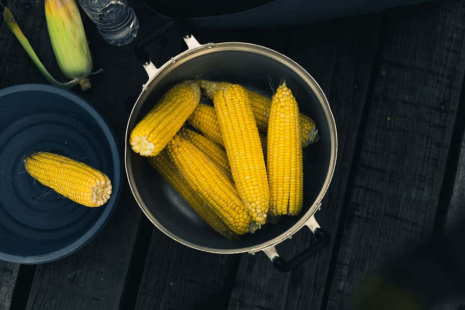 Yellow Corn, golden corn cobs, metal pot, SD Desktop Wallpaper