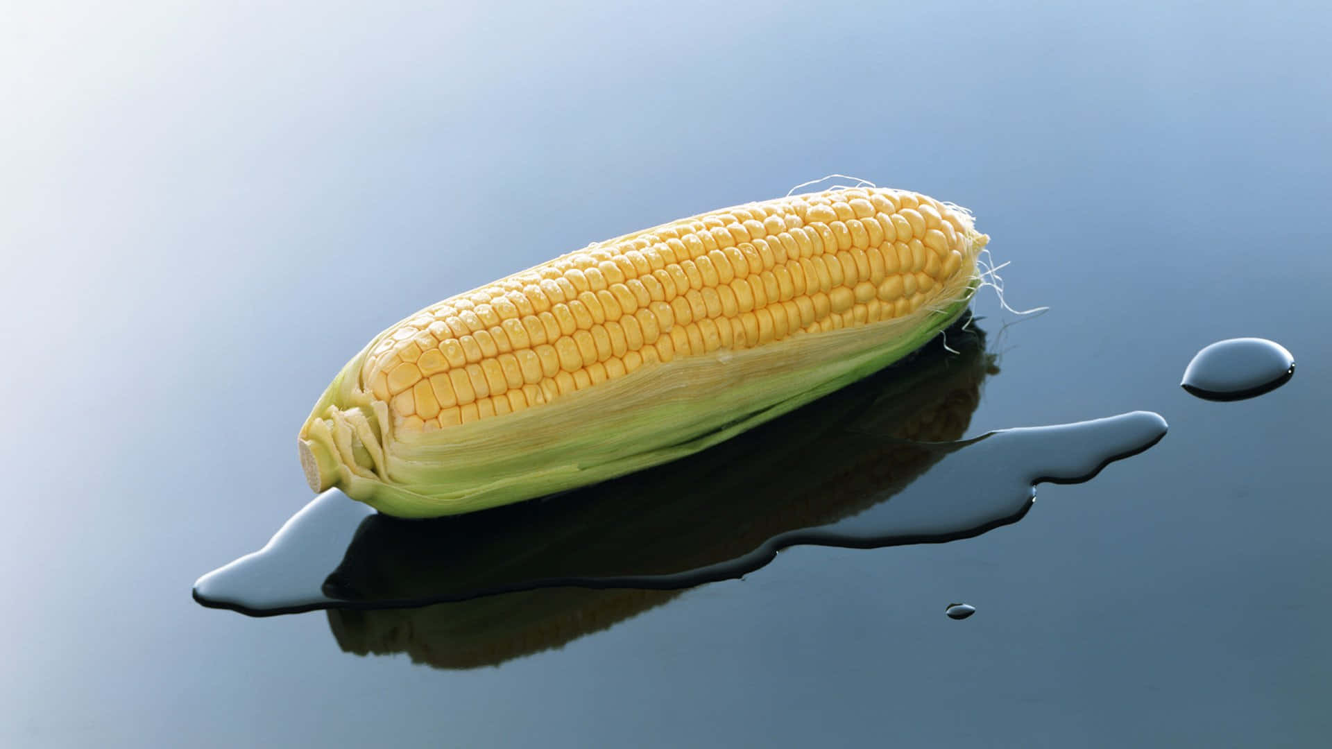Yellow Corn, ear of corn, dark reflective surface, Full HD Desktop Wallpaper