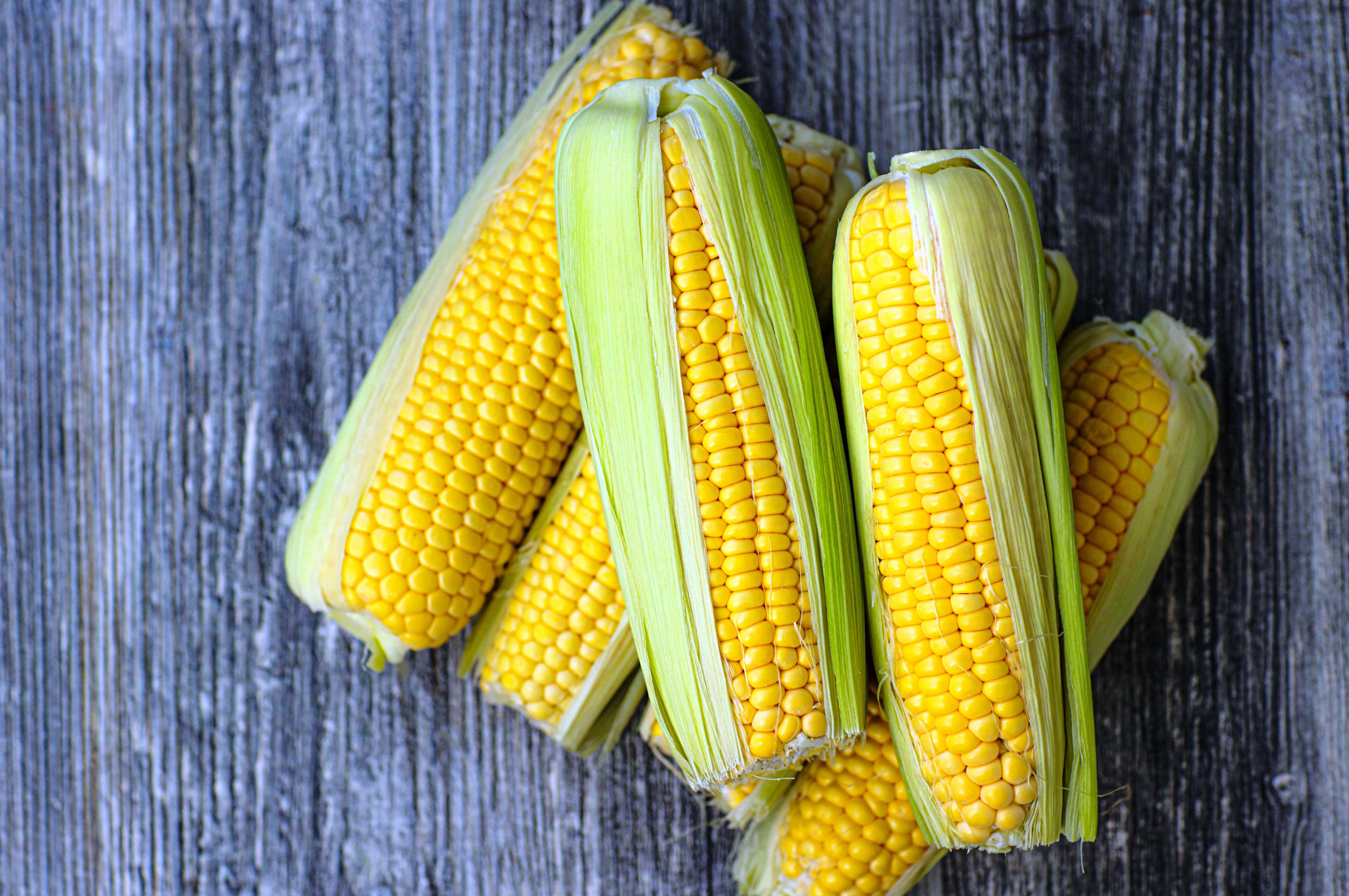 yellow corn, yellow corn on the cob, green husks, 4K Desktop Wallpaper