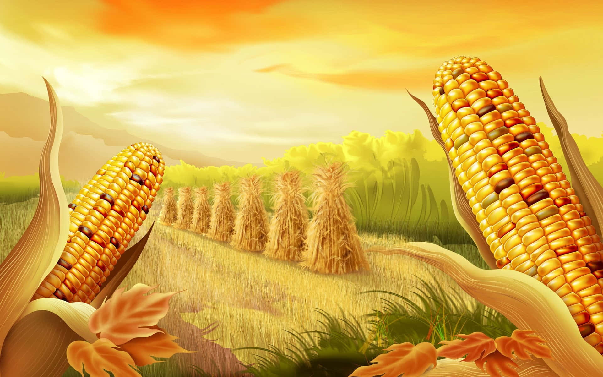 Yellow Corn, golden corn stalks, sunlit autumn field, Full HD Desktop Wallpaper