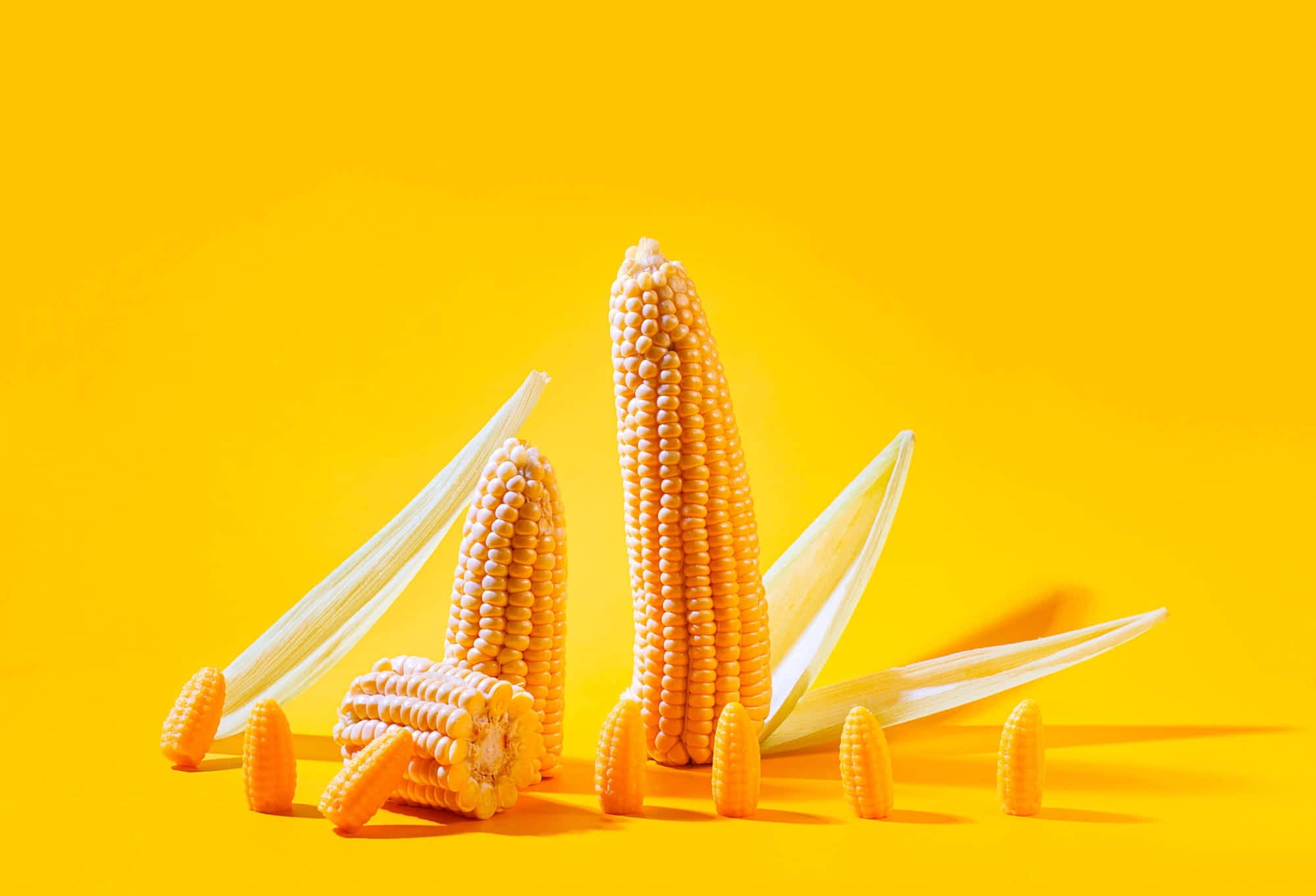 Yellow Corn, golden corn cobs, kernels, Full HD Desktop Wallpaper