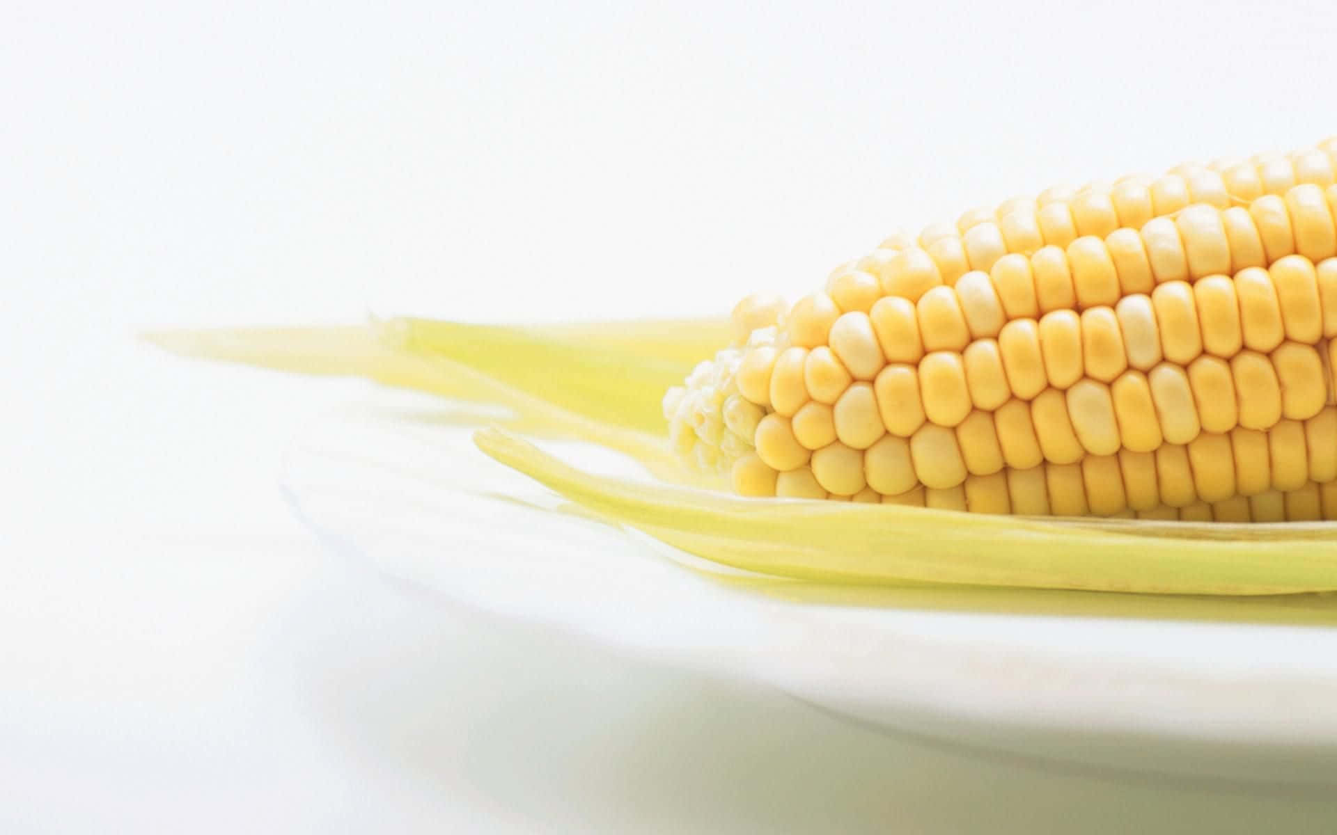 yellow corn, green husk, white plate, Full HD Desktop Wallpaper