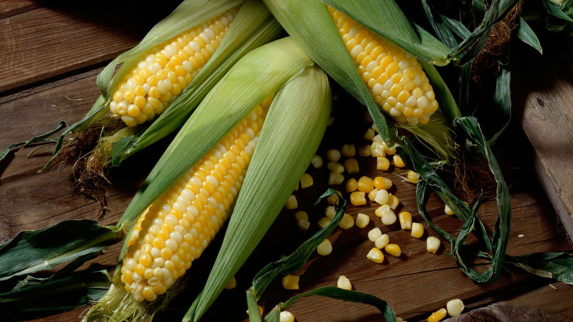 Yellow Corn, corn on the cob, husks peeled back, Full HD Desktop Wallpaper