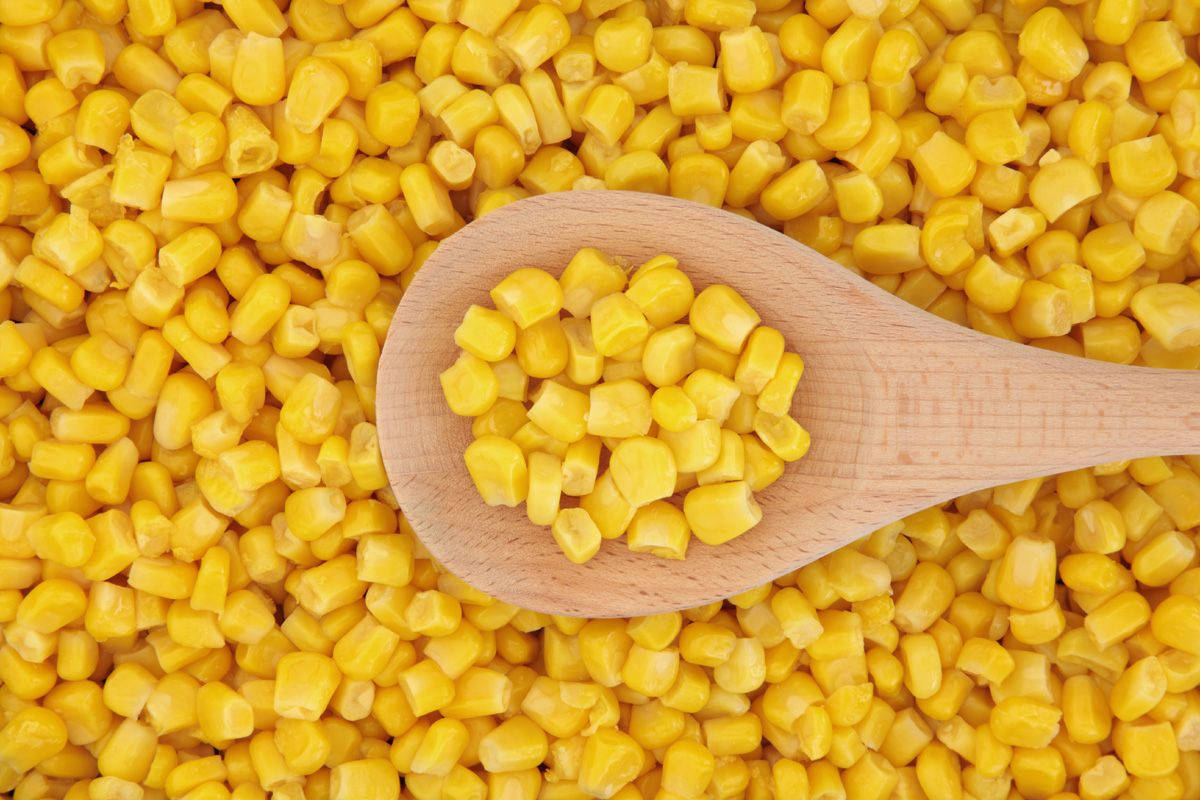 yellow corn kernels, wooden spoon, ladle, SD Desktop Wallpaper