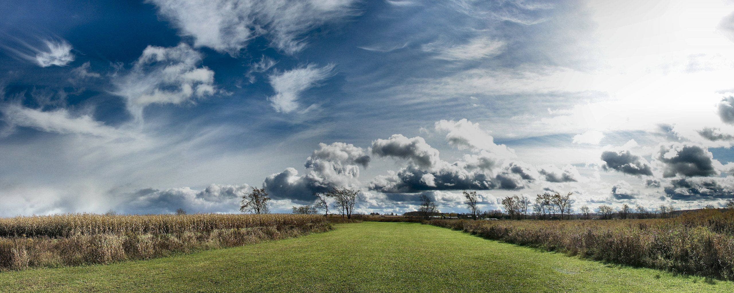 golden cornfields, vast sky, dramatic white and gray clouds, 2K Desktop Wallpaper