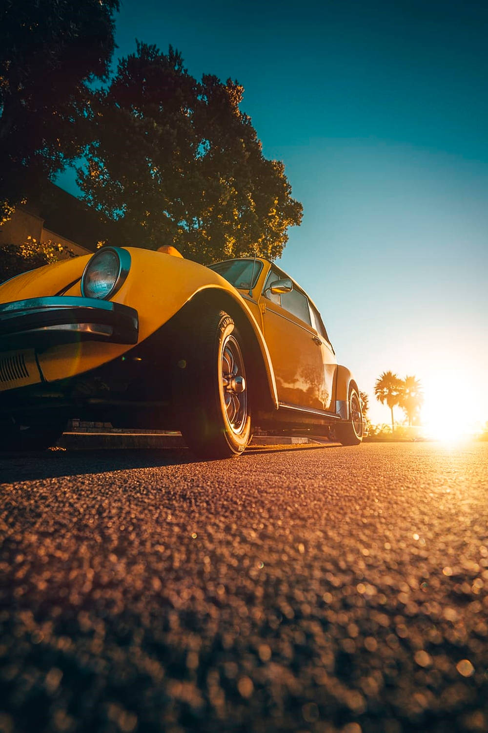 vintage Volkswagen Beetle, vibrant yellow, palm trees, HD Phone Wallpaper