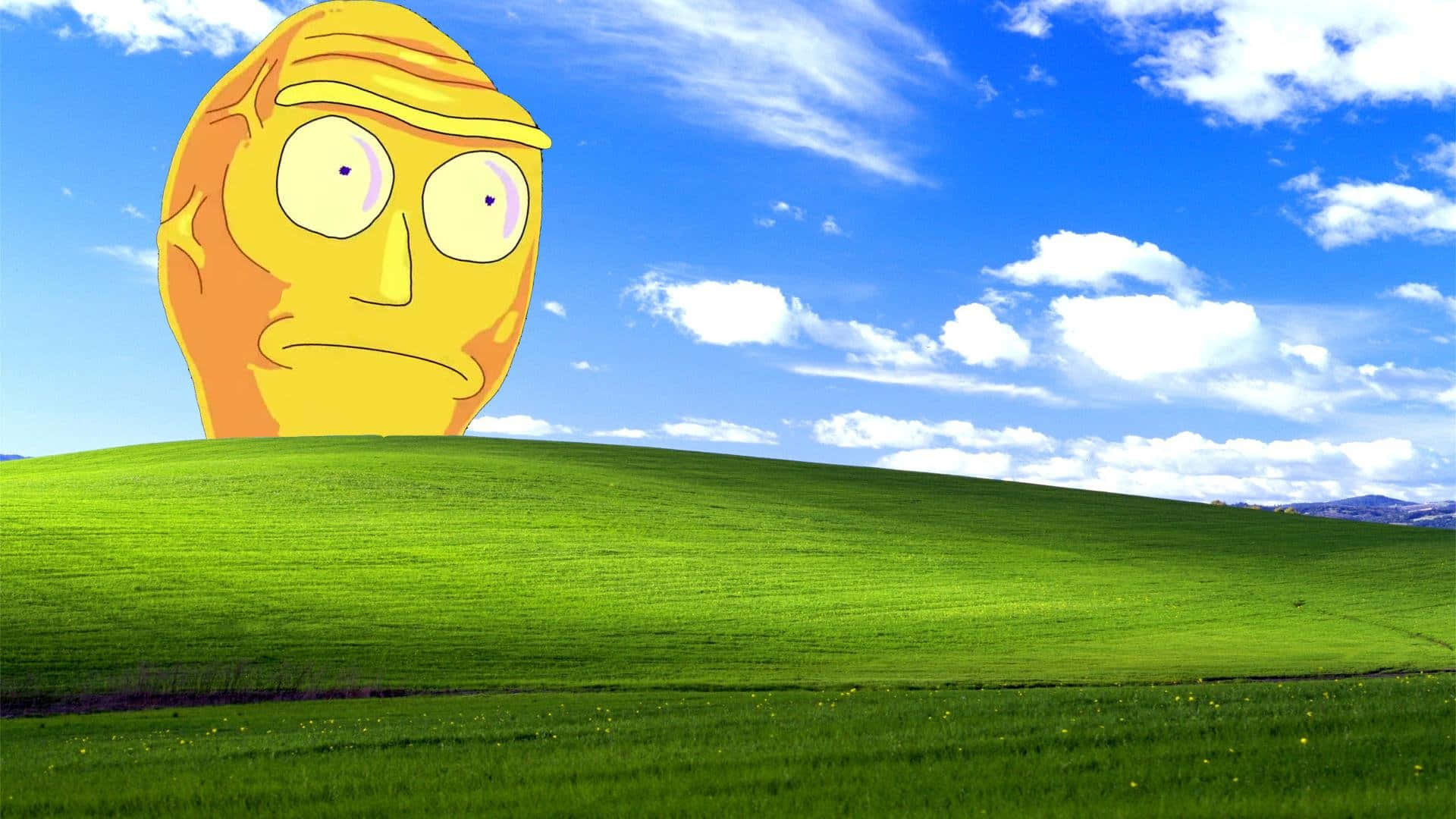 yellow head, green hill, bright blue sky, Full HD Desktop Wallpaper
