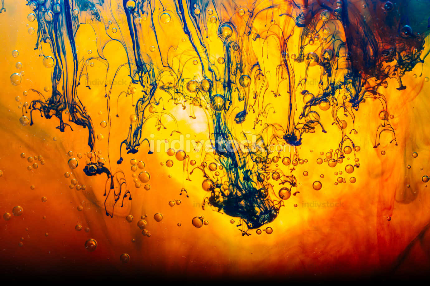 orange, blue, underwater, HD Desktop Wallpaper