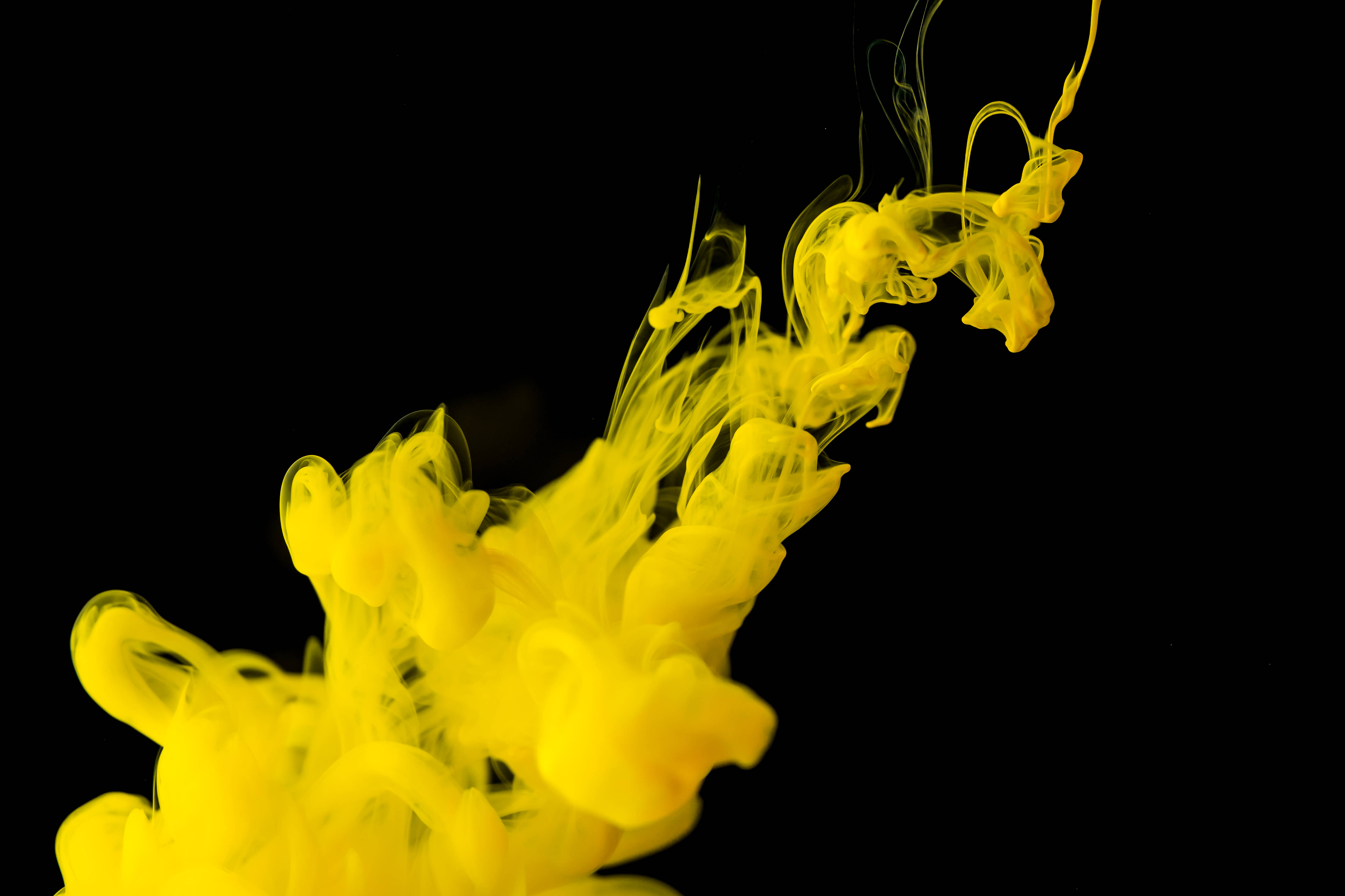 Yellow HD, ink drop, vibrant yellow, 4K Desktop Wallpaper