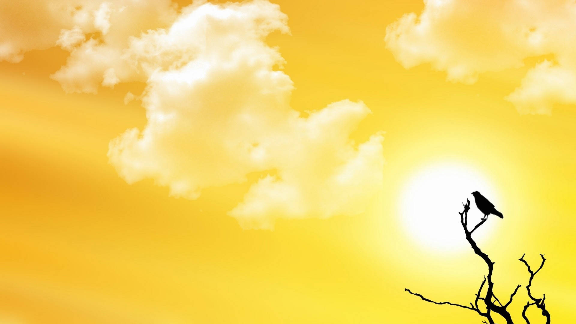 Yellow HD, summer sky, golden sunset, Full HD Desktop Wallpaper
