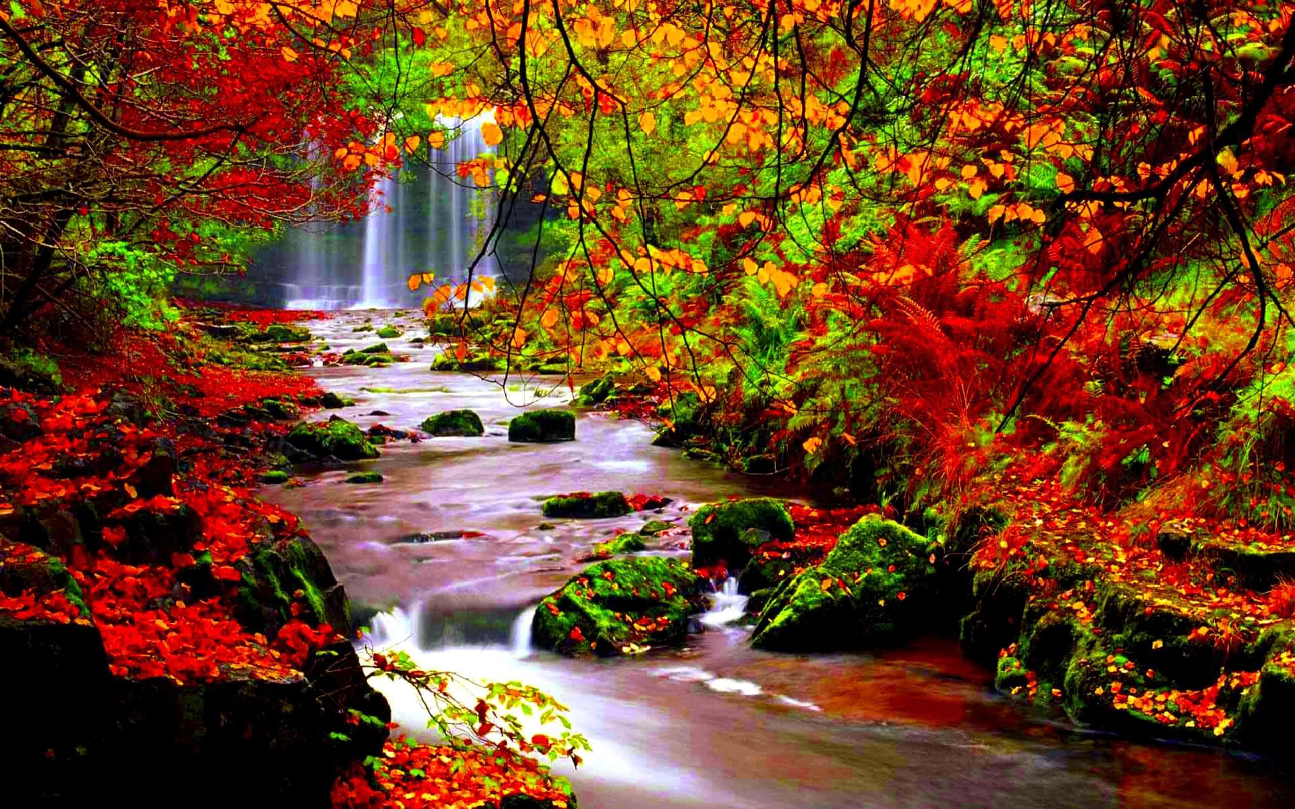 Yellow Leaves, autumn forest, rushing stream, 2K Desktop Wallpaper