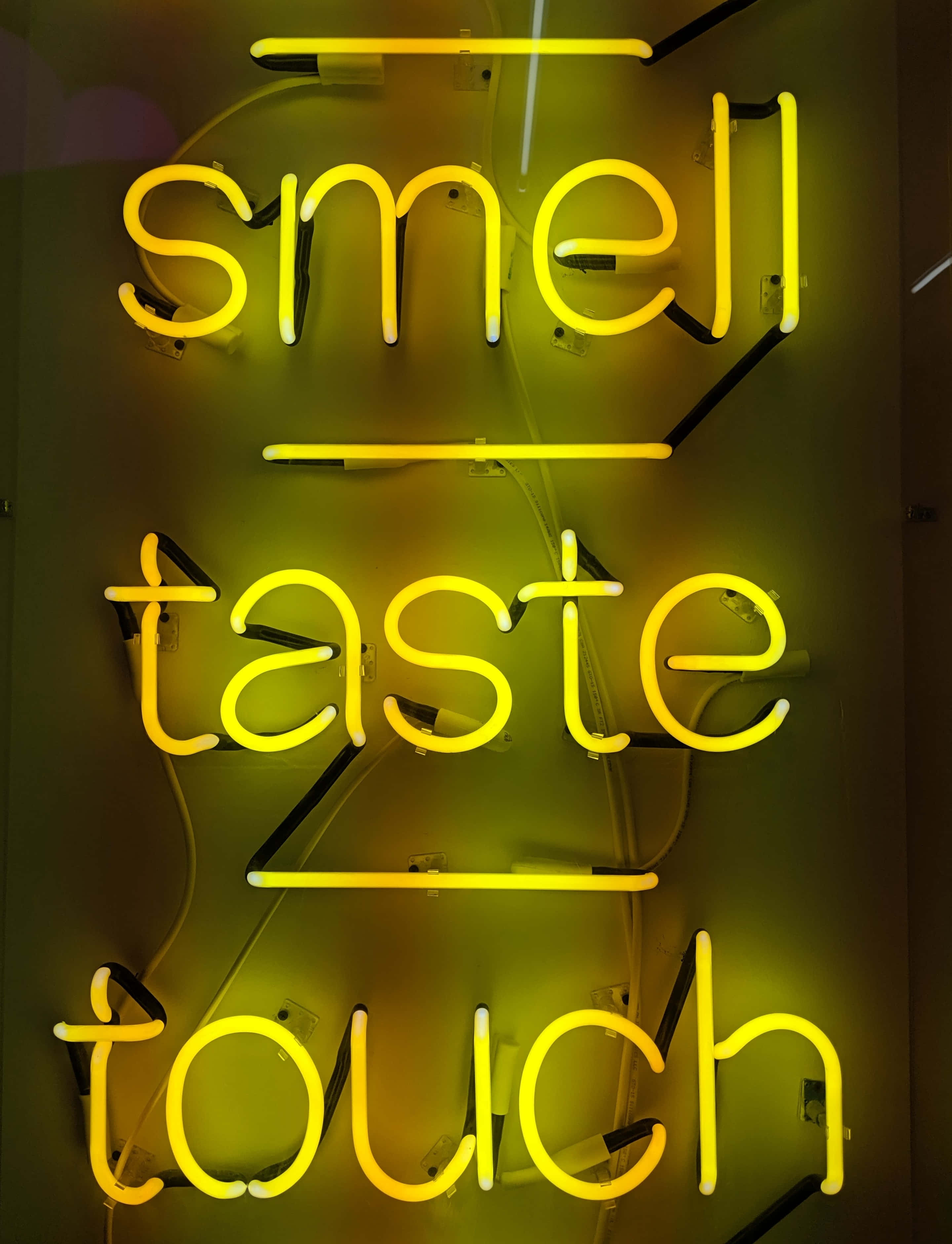 Yellow Neon Light, vibrant yellow neon sign, glowing, 2K Phone Wallpaper