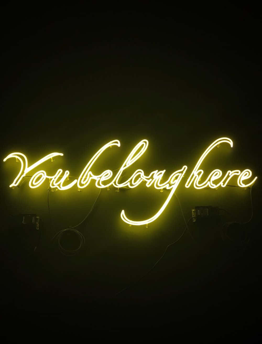 You belong here, glowing yellow neon sign, dark wall, HD Phone Wallpaper