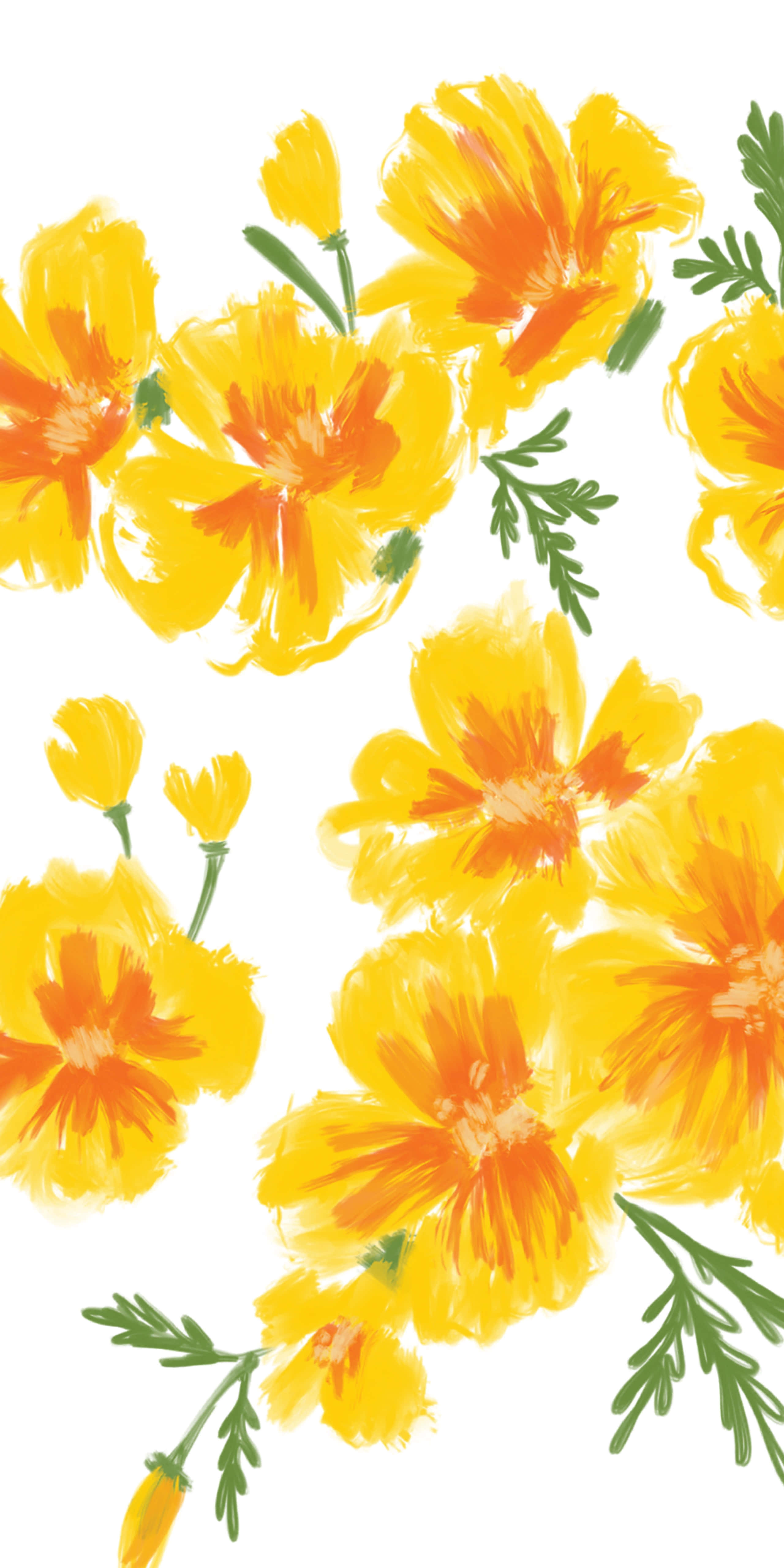 yellow poppies, orange centers, green stems, 5K Phone Wallpaper