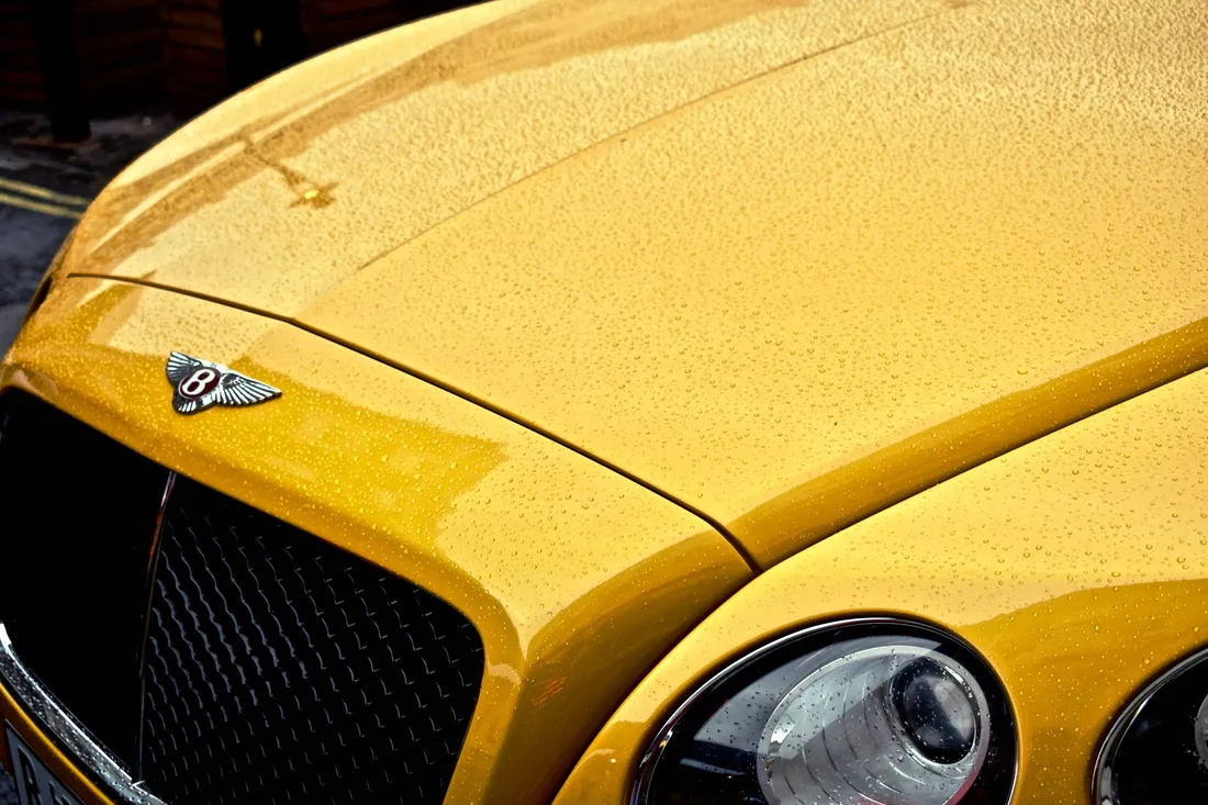 Yellow Raincoat