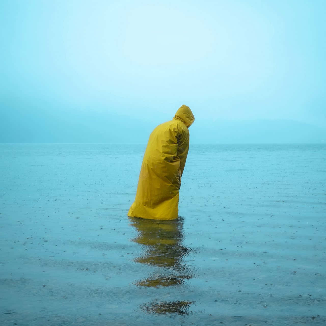 Yellow Raincoat, bright yellow raincoat, misty lake, HD Desktop Wallpaper